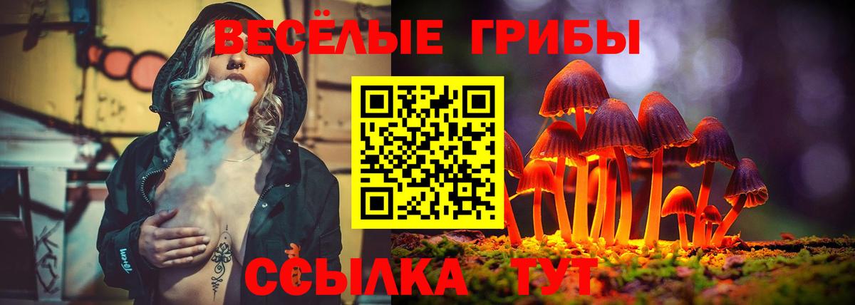 Галлюциногенные грибы мухоморы Шебекино