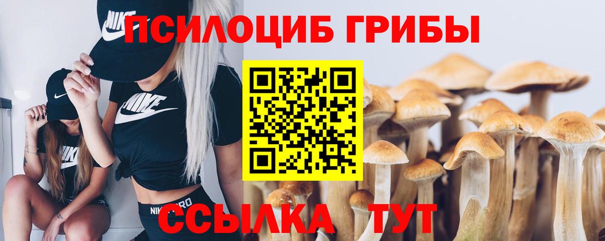 Шебекино  Галлюциногенные грибы прущие грибы  Вход с VPN  Псилоцибиновые грибы мицелий 